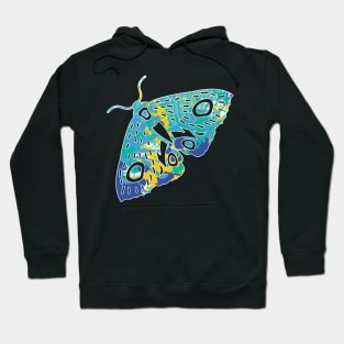 Cool butterfly colored t-shirt Hoodie